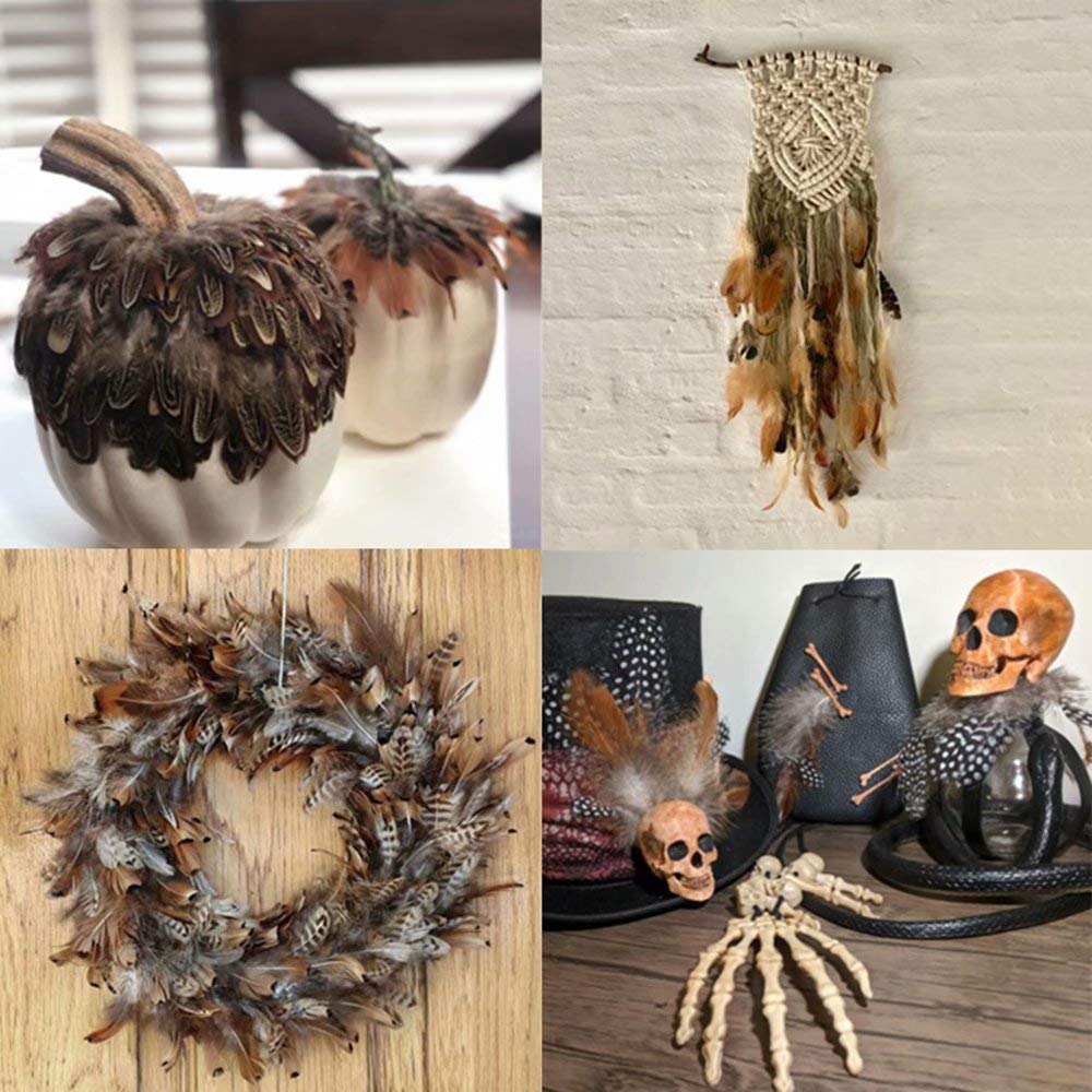 360pcs 12 Styled Natural Feathers Assorted Mixed Feathers for Jewelry and Dream Catcher Crafts