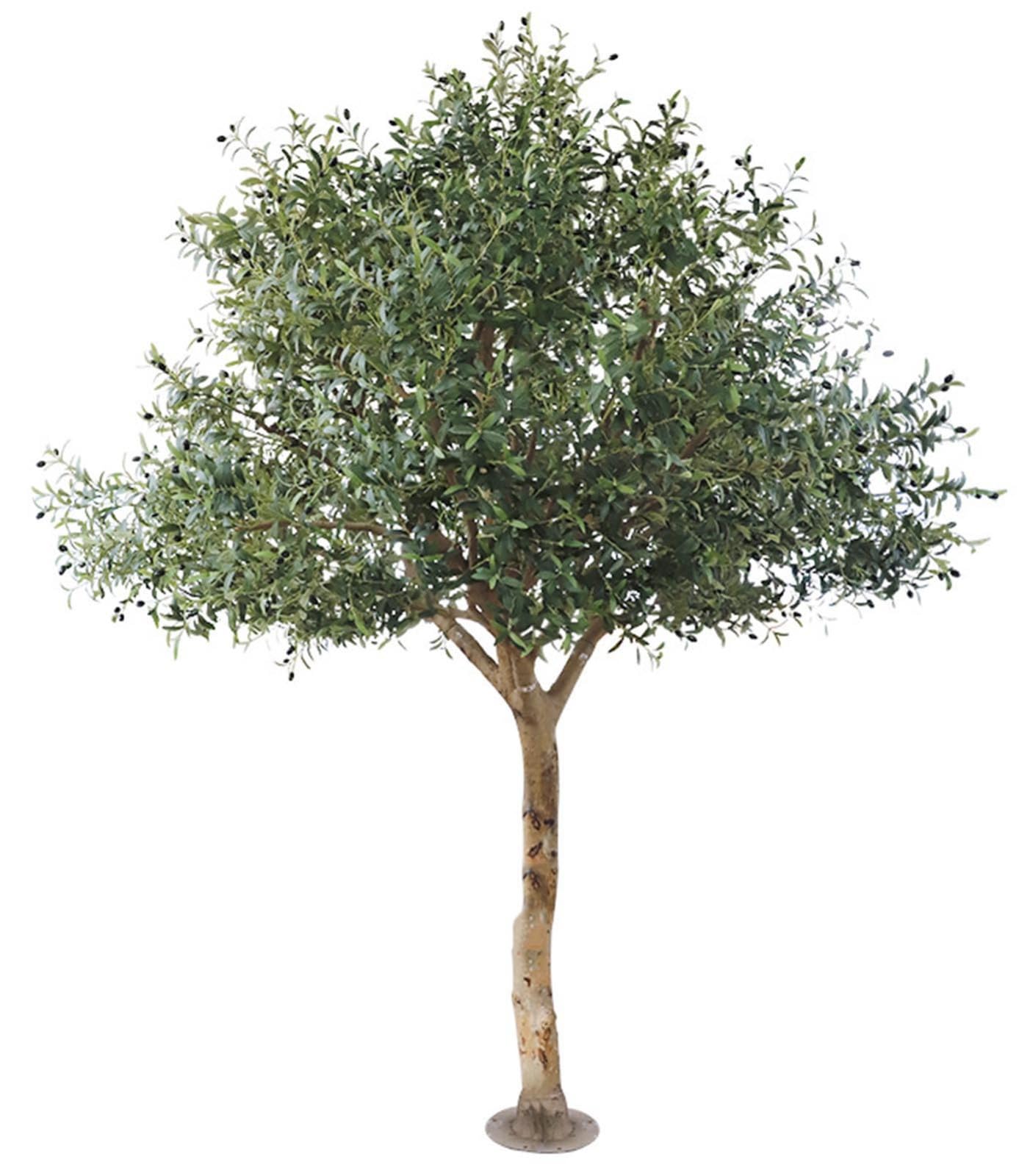 Faux Olive Tree - Large Realistic Artificial Olive Tree with Trunk, Adjustable Branch for Wedding Event Indoor Outdoor Home Office Living Room Farmhouse Decor (5FT)