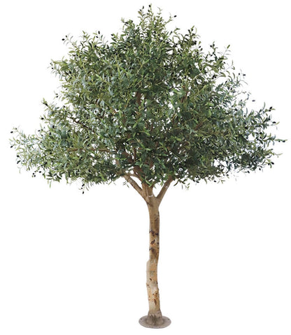 Faux Olive Tree - Large Realistic Artificial Olive Tree with Trunk, Adjustable Branch for Wedding Event Indoor Outdoor Home Office Living Room Farmhouse Decor (5FT)