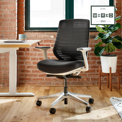 Branch Ergonomic Chair - A Versatile Desk Chair with Adjustable Lumbar Support, Breathable Mesh Backrest, and Smooth Wheels - Experience Optimal Comfort and Support - Black