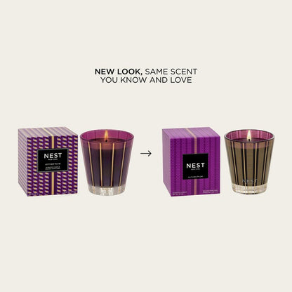 NEST New York Scented Classic Candle, Autumn Plum - 8.1 oz - Up to 60-Hour Burn Time - Reusable Glass Vessel
