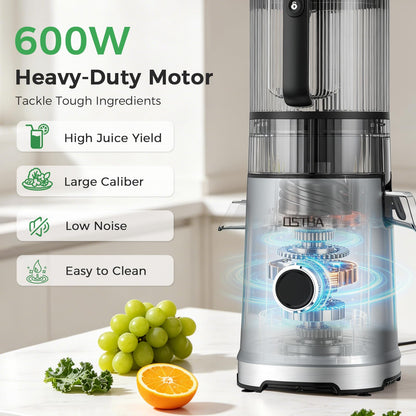 3-in-1 Cold Press Juicer, OSTBA 600W Slow Masticating Juicer with 6" Extra Large Feed Chute for Whole Fruits & Vegetables, Juicer, Nut Milk Maker & Sorbet Machine, Easy to Clean