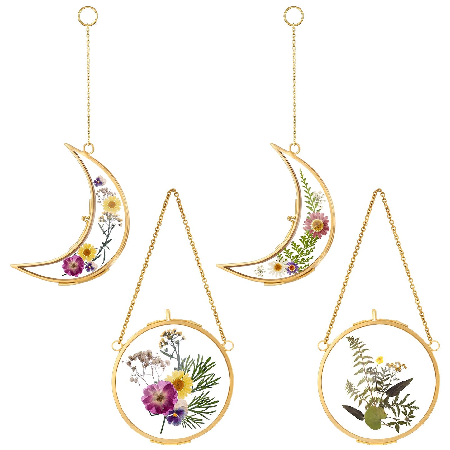 Qunclay 4 Pcs Pressed Flower Frames Bulk Double Glass Floating Hanging Photo Frame Sun Moon Clear Pressed Flower Decor with Chain for DIY Crafts Artwork Display Gallery(Gold,3.5 x 2.5 Inch)