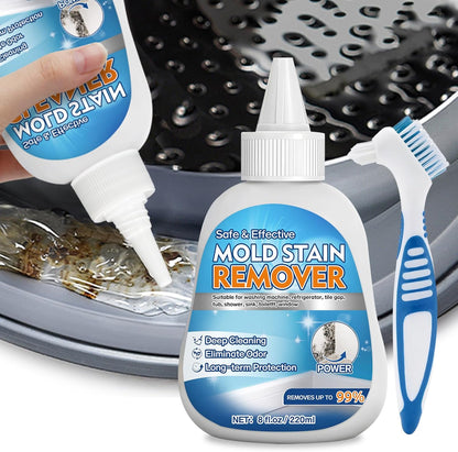 Regine Switzerland Home Mold Stain Remover Gel - No Scrub Cleaner for Washer Seals & Bathroom Grout