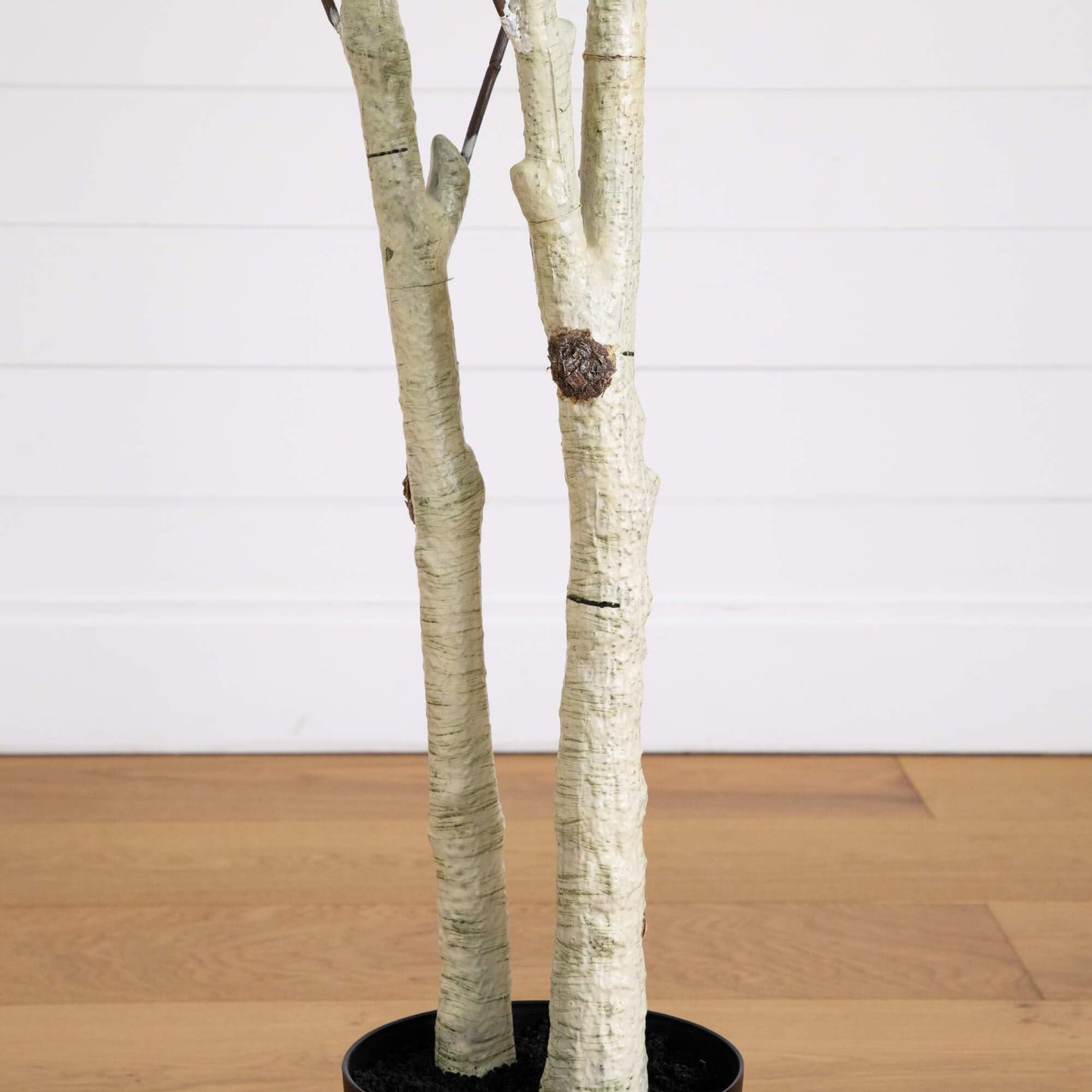 Nearly Natural 8ft Artificial Birch Tree with Real Touch Leaves - Indoor Fake Tree for Home Decor - Flexible Branches for Custom Look