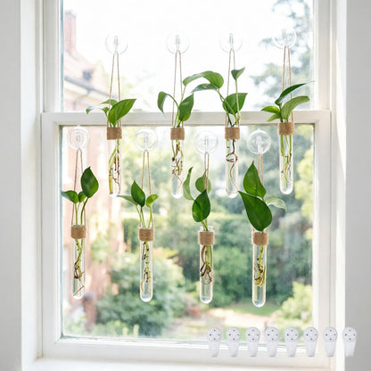 Bunmery 8 pcs Window Propagation Stations, Plastic Plant Propagation Tubes with Suction Cups & Traceless Nails, Easy to Install Window Wall Hanging Planter Terrarium Vase