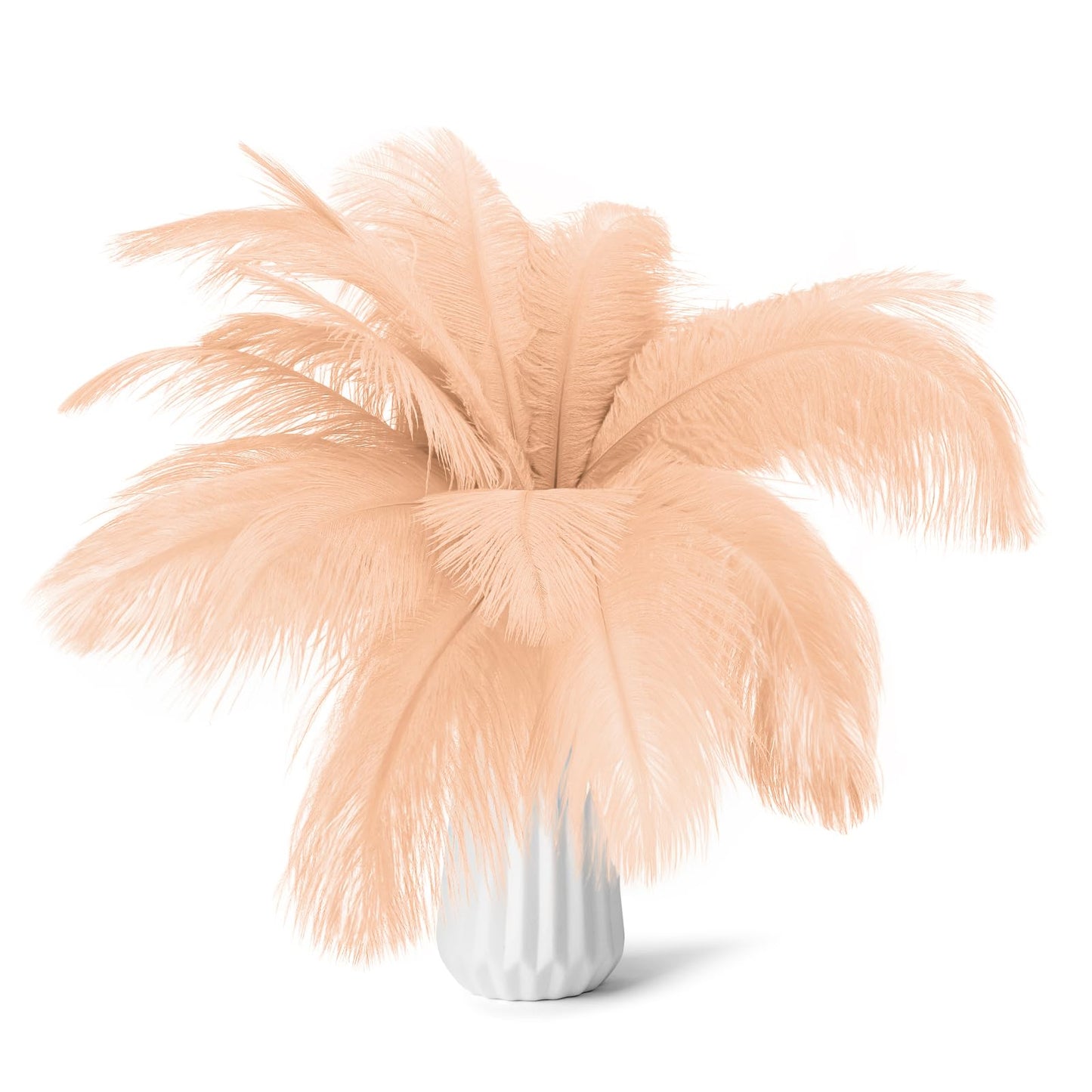 80pcs 15-17 inches (38-43 cm) Natural Bulk Ostrich Feathers Kit. Kits Contain 8-10 inches of Feathers and 7 inches of White Feather Sticks.for Various DIY Projects. (Champagne, 8-10-Inch)
