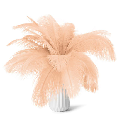 80pcs 15-17 inches (38-43 cm) Natural Bulk Ostrich Feathers Kit. Kits Contain 8-10 inches of Feathers and 7 inches of White Feather Sticks.for Various DIY Projects. (Champagne, 8-10-Inch)