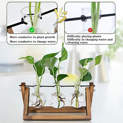 3 Bulb Kingbuy Desktop Glass Planter Iron and Wooden Stand Plant Terrariums for Indoor Office Desk Decor Accessories
