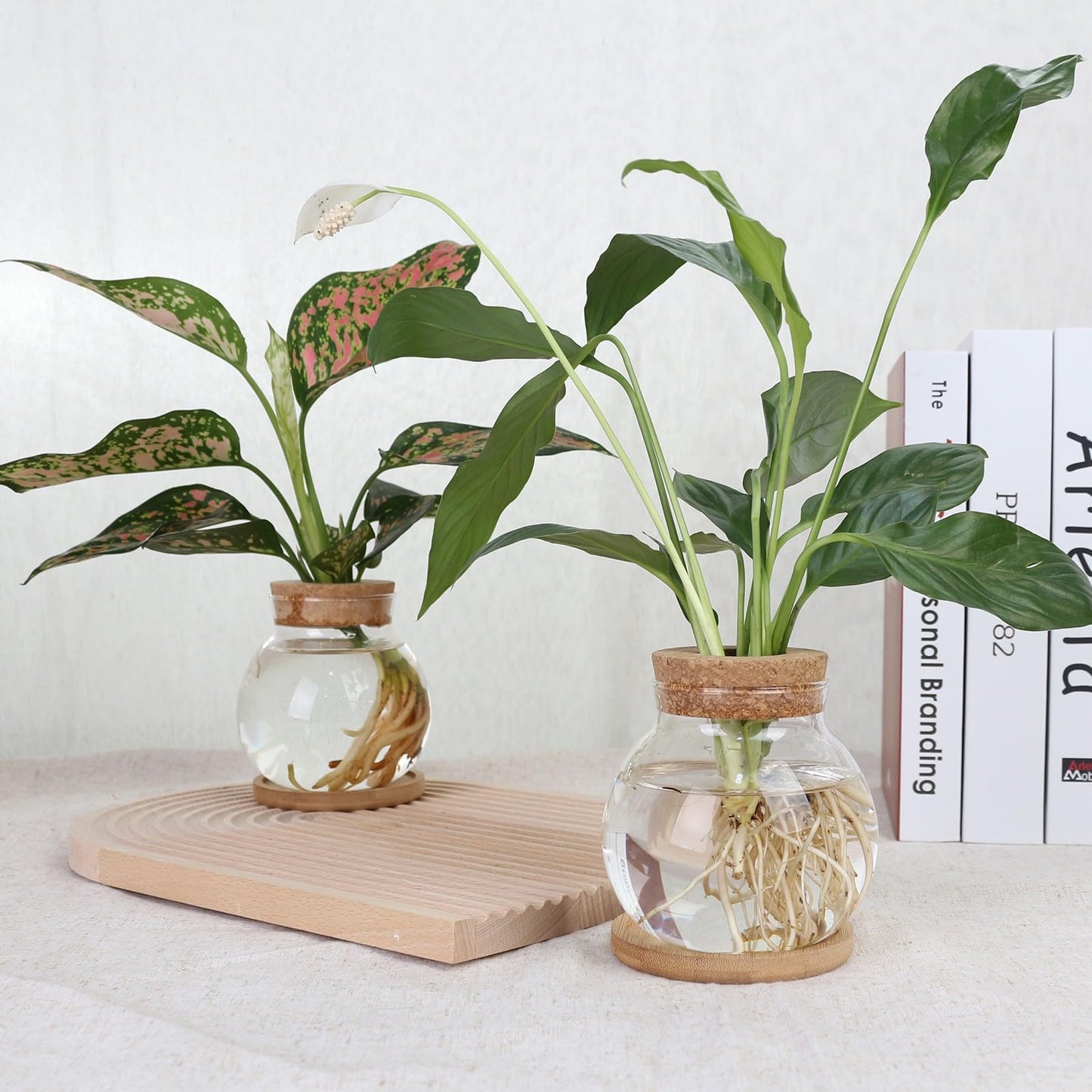 CHPINDAM Plant Propagation Station,Hydroponic Glass Container Vase Jars, with Wooden Saucer for Desks, Houses, Garden Decorations, Home Kitchen Decorations and Gifts for Plant Lovers (2)