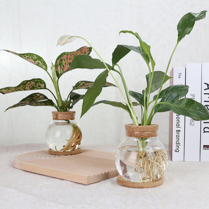 CHPINDAM Plant Propagation Station,Hydroponic Glass Container Vase Jars, with Wooden Saucer for Desks, Houses, Garden Decorations, Home Kitchen Decorations and Gifts for Plant Lovers (2)