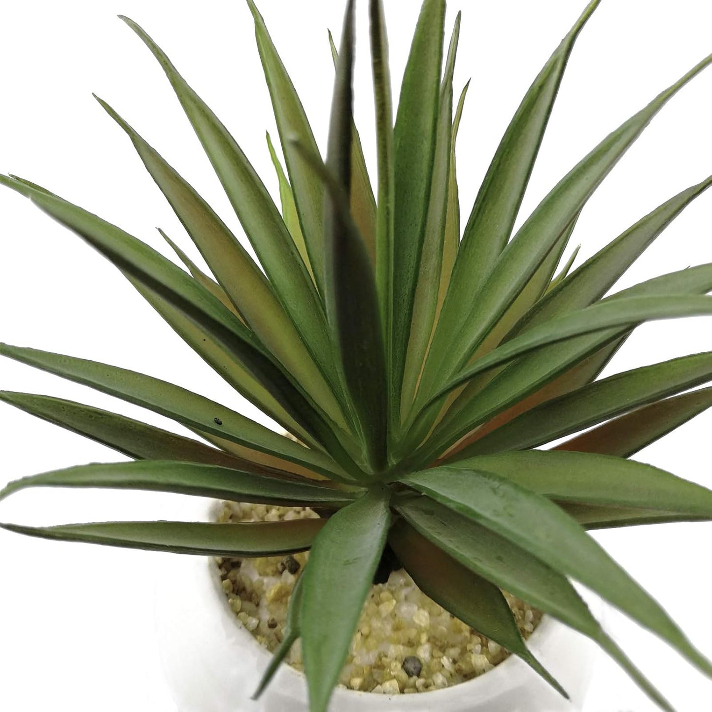 TUOKORGREEN Small Artificial Plants in Ceramic Pots, Faux Greenery Set of 2, 3.5" x 6.7"