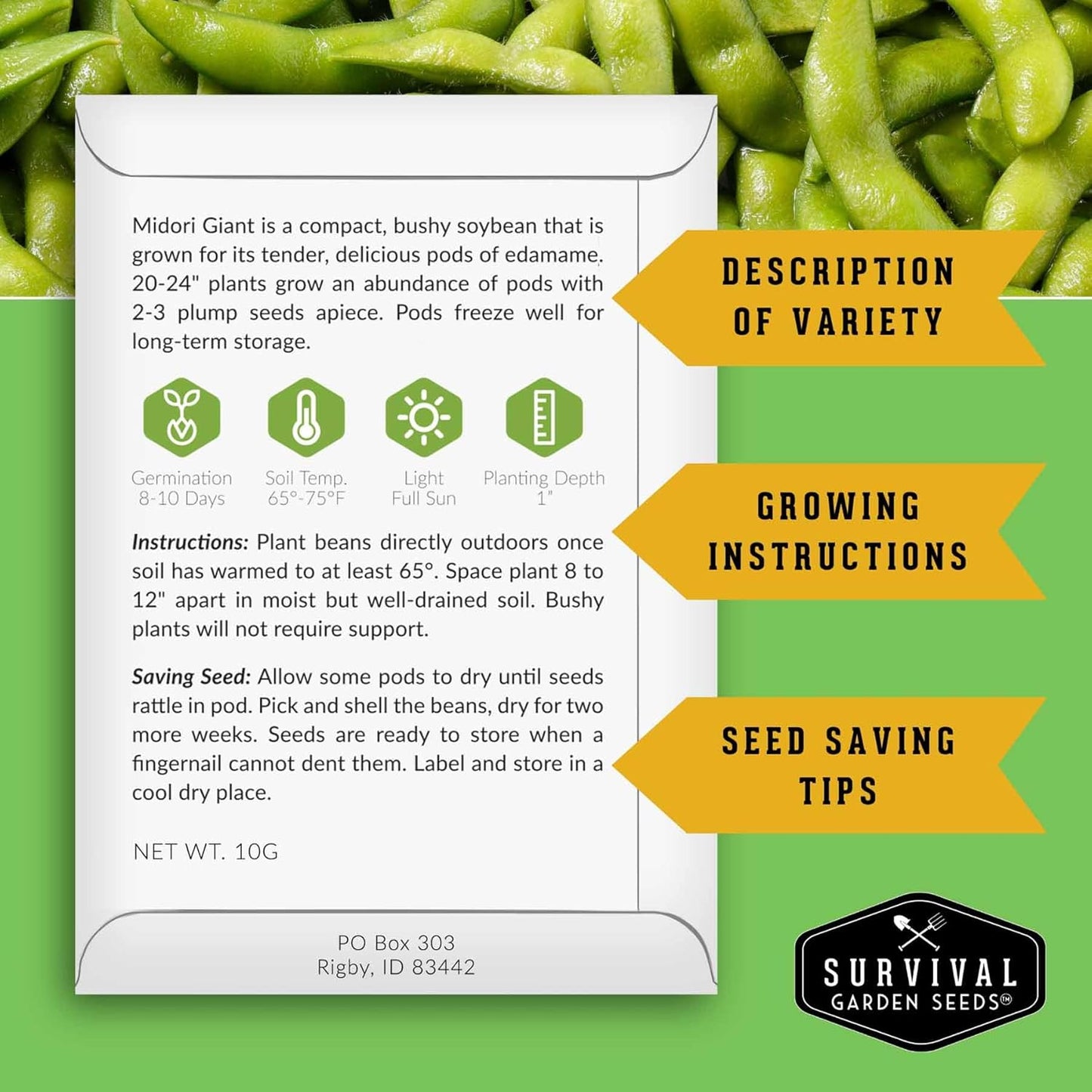 (3 Packs) Midori Giant Soybean Seeds for Planting - Grow Protein-Rich Edamame Pods in Your Home Vegetable Garden