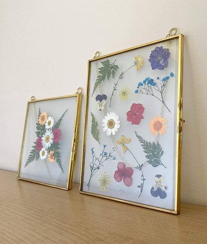 Double Glass Frame for Pressed Flowers, Leaf and Artwork - Set of 3 Hanging Picture Frames, 6x6, 6x8, 4x9 Floating Pressed Flower Frames, Square and Rectangular Wall Decor Photo Display, Clear Metal Glass Frames with Chain (Gold)
