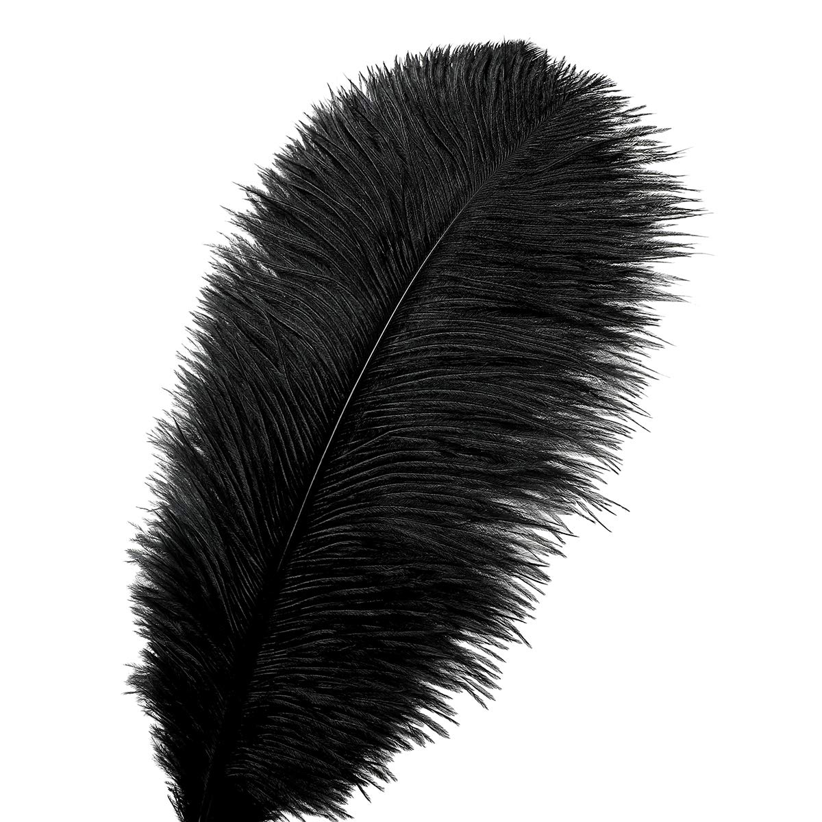 24pcs Natural Black Ostrich Feathers 10-12inch (25-30cm) for Wedding Party Centerpieces，Flower Arrangement and Home Decoration.
