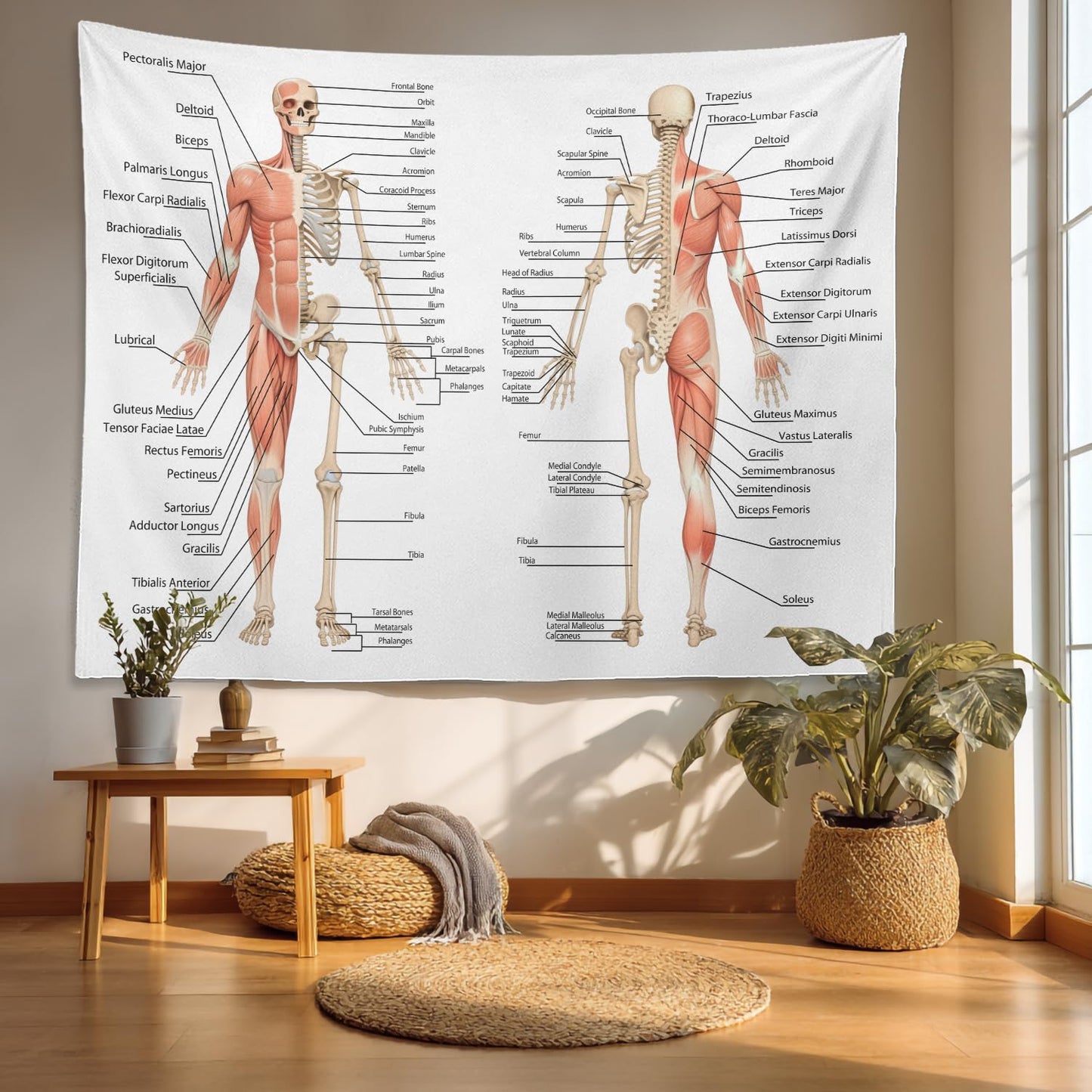 Batmerry Skeleton Tapestry, Body Human Skeleton Anatomy Backbone Biology Board Bone Picnic Mat Hippie Trippy Tapestry Wall Art Decor for Bedroom Living Room, 51.2 x 59.1 Inches, Human Anatomy
