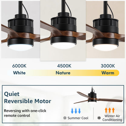 EKIZNSN 42'' Outdoor Ceiling Fans Waterproof with Light for Patios/Gazebo/Pergola, 16-feet Extension Cord Included