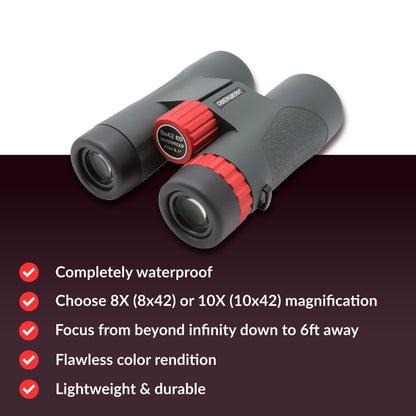 Oberwerk Sport ED 8x42 Professional Binoculars, Roof Prism, Fully Multi-Coated & Waterproof, Dielectric & Phase-Coated Prisms, Twist-Up Eyecups, Bird Watching, Hiking & Outdoor Use, Green