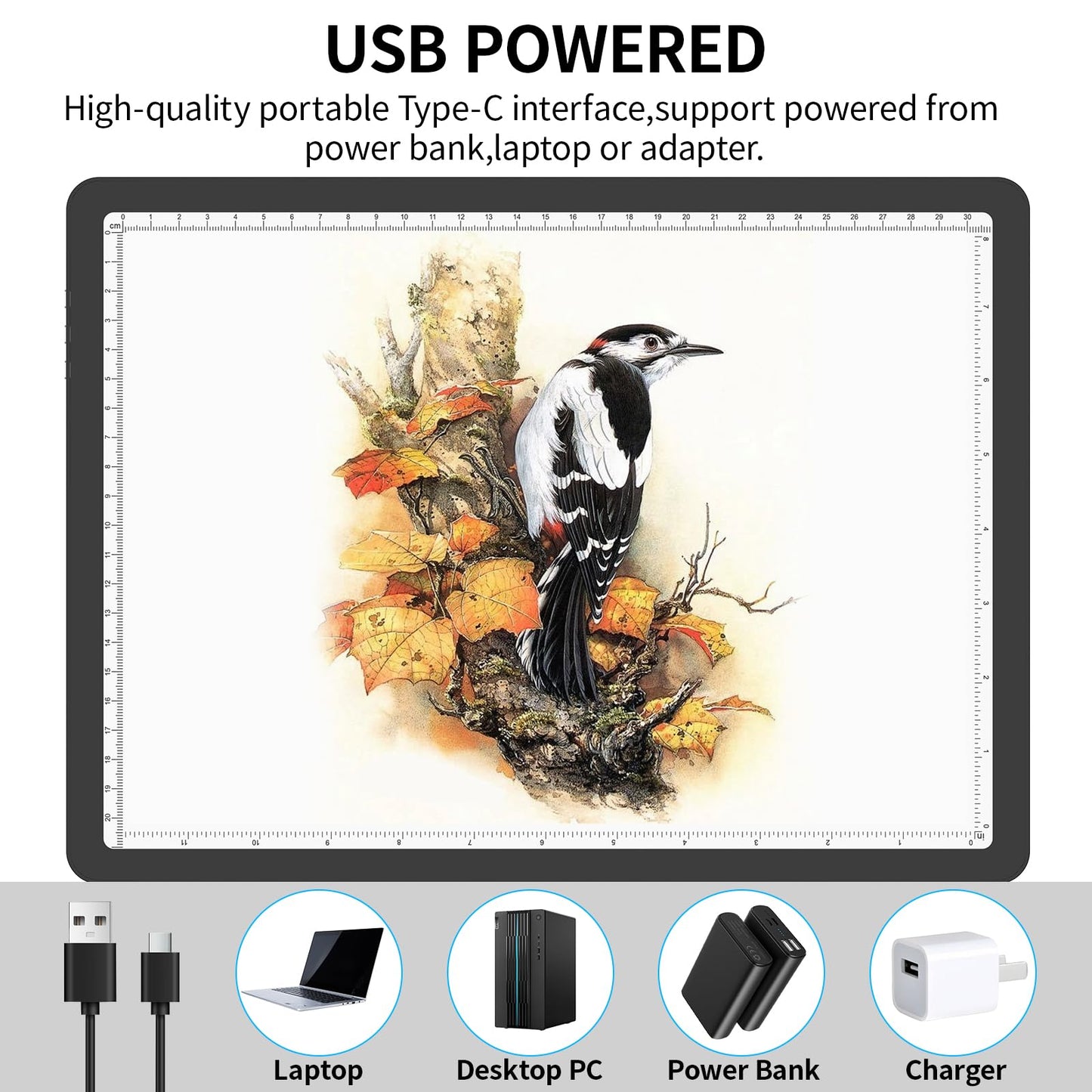 Phylosal Magnetic A4 Light Pad, Super Bright Light Box with Side Button, Diamond Art Light Board, Lightbox for Tracing and Drawing, USB Power Artcraft Light Table for Sketching, Weeding Vinyl (Black)