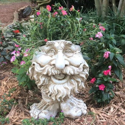 Sheremart Whimsical Face Planter - 6inch Funny Wizard Head Sculpted Pot (Antique White Resin), Unique Succulent Planter for Indoor/Outdoor Garden Decor (6#)