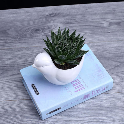 Yardenfun Ceramic Bird Shape Succulent Plant Pot Saucer Small White Flower Planter for Indoor Desktop Decor Home Gardening