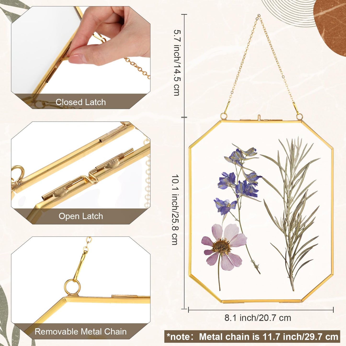 Vicenpal 5 Pcs 8 x 10 Inches Glass Pressed Flower Frame, Hanging Floating Picture Frame for Tabletop Artwork Dried Flower Display with Metal Chain for Mom Friends Wedding Gift DIY Craft(Coppery)