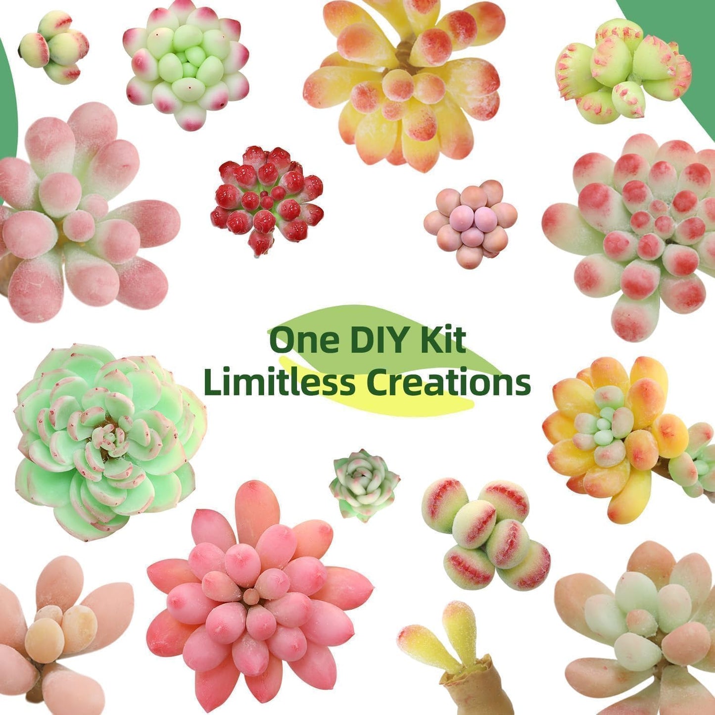Microland Craft Kits for Teens Crafty Clay Kit for Succulents Flower Making Fun Adult Activities of Arts and Crafts Art Therapy Crafting Set Creative Gifts for Women Teen Girls Artist Gifts for Mom