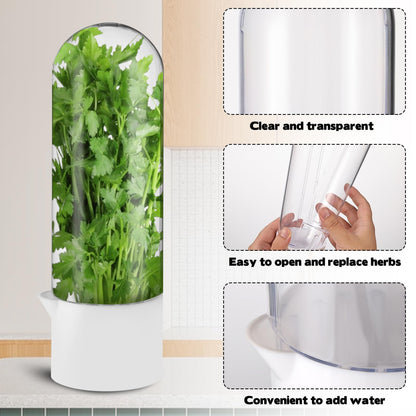 3 Pack Herb Saver for Refrigerator Large Fresh Herb Keeper Cilantro Container for Refrigerator Vegetable Preservation Container for Cilantro Asparagus Mint Rosemary Parsley Basil for 2-3 Weeks