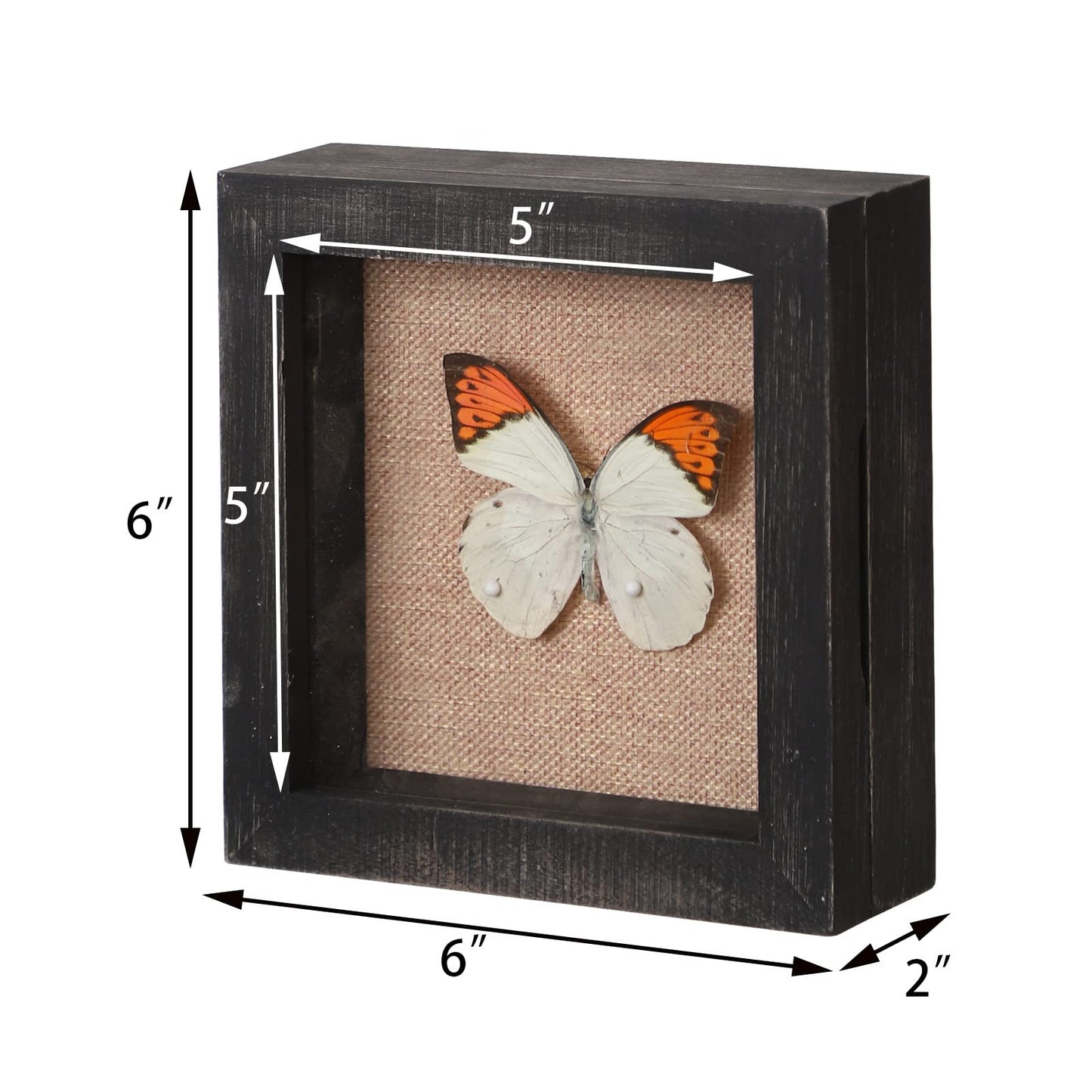 6x6 Square Shadow Box, Display Size 5x5 Shadow Box Frame with Glass, Small Display Case with Hinge and Magnetic Door for Shells Taxidermy Keepsake Photos Tickets Coins-Weathered Black