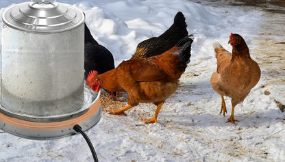 6 125W Poultry Chicken Water Heater: Chicken Water Heater Base for Winter, for Plastic/Metal Poultry Watere Under