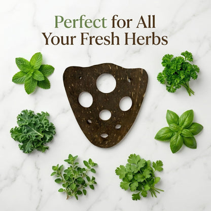 All-Natural Herb Stripper Tool for Fresh Herbs | 9-Hole Kale, Rosemary and Thyme Peeler | Eco-Friendly Kitchen Gadget | Metal & Plastic Free Herb Stripping Tool for Cilantro, Basil, Chard & More