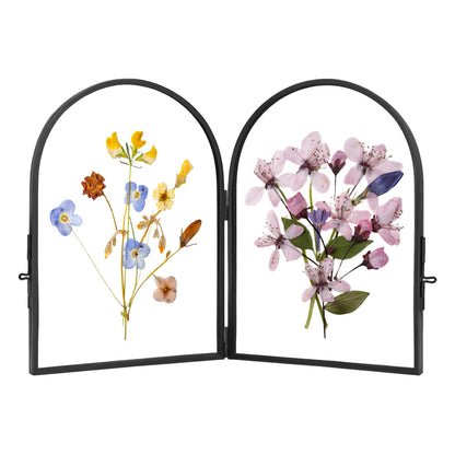 REDHUGO Double Glass Frame for Pressed Flowers Handmade, Pressed Flower Frame, Hinged Tabletop Brass Photo Frames, Dried Flower Display Folding Picture Frame for Home, ArcShaped, Black, 4×6 Inches