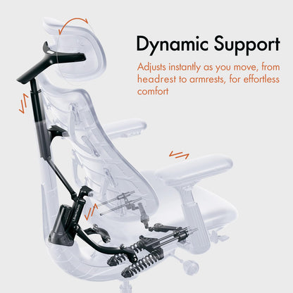 LiberNovo Dynamic Ergonomic Desk Chair + StepSync Footrest Bundle - Comfy Home Office Chair with Adaptive Lumbar Support, 160° Recline & Built-in Spine Stretch, Gray+45cm