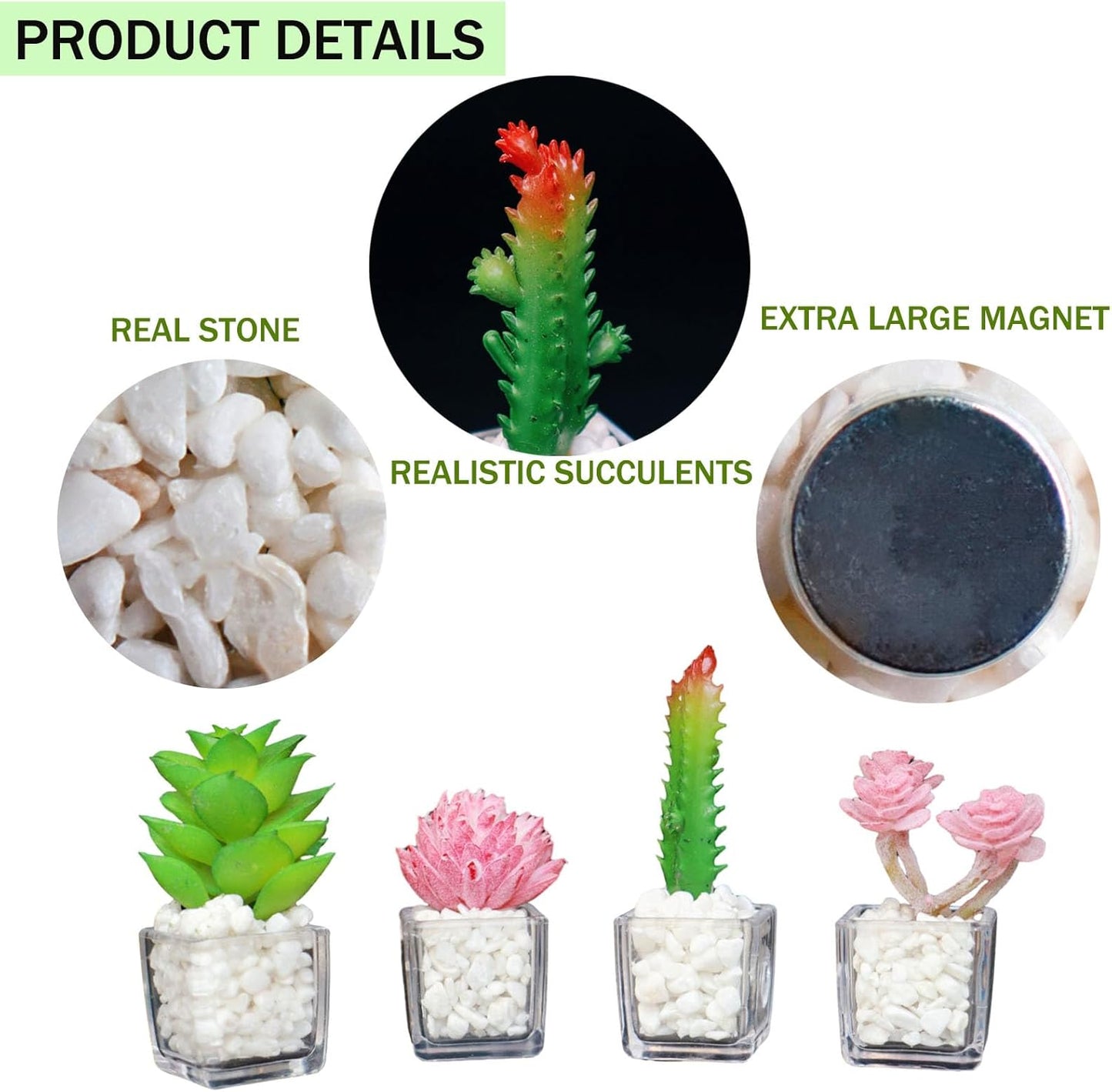 Plant Magnets for Fridge, Succulent Artificial Plants Refrigerator Magnets, Funny 3D Resin Decorative Set of 4