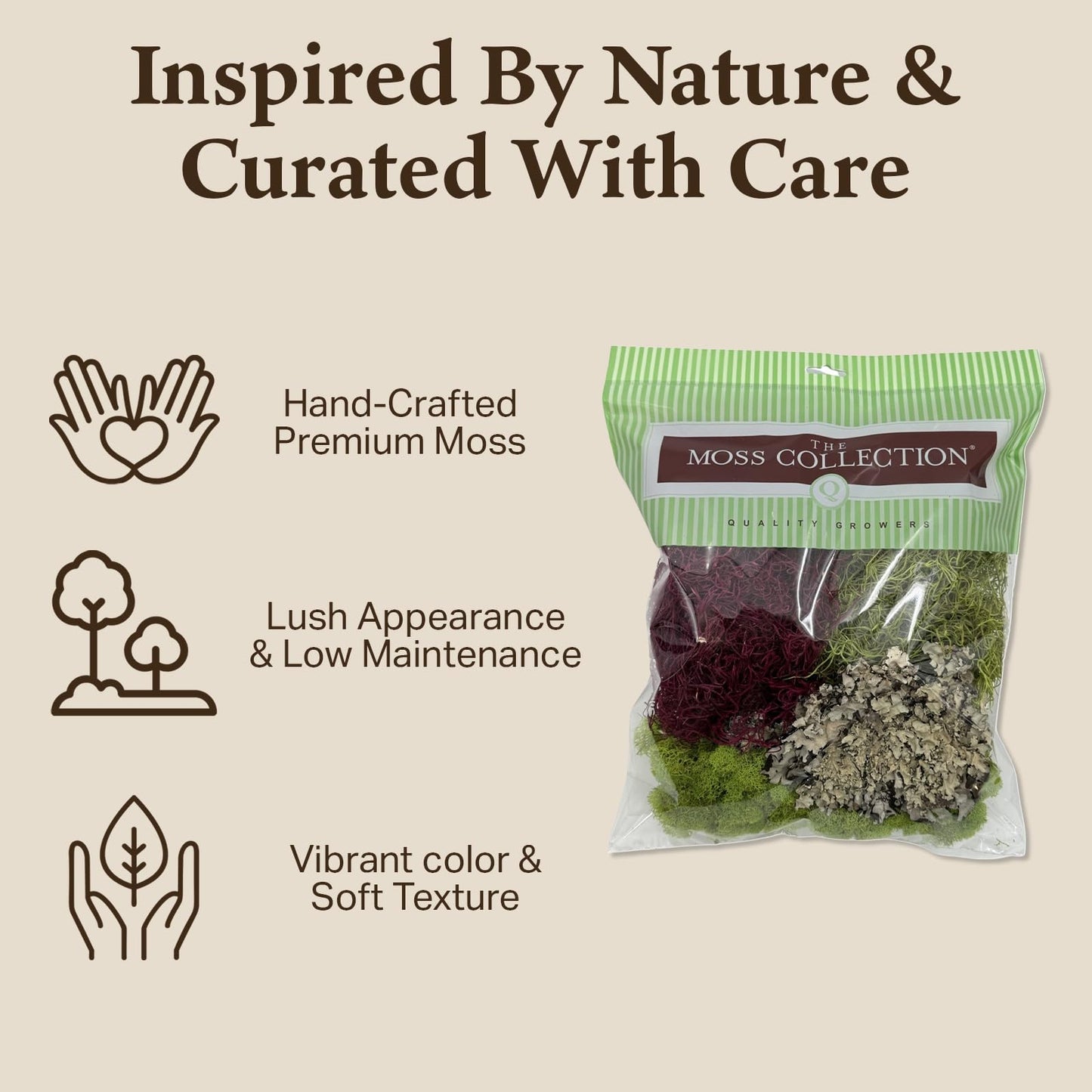 Quality Growers - The Moss Collection Variety Pack - Natural Decorative Moss - Crafts, Home Decor, Art, Design & DIY Projects - Non-Toxic - Made in USA - Red Mix, Medium, 2-Pack