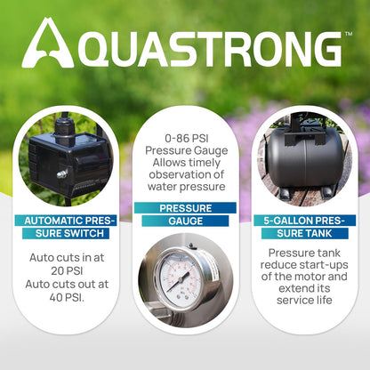 Aquastrong 115V Shallow Well Garden Pump, Stainless Steel, 1320 GPH, Automatic Water Booster Jet Pump for Home, Garden, Lawn,Irrigation,1.6 HP with Pressure Tank