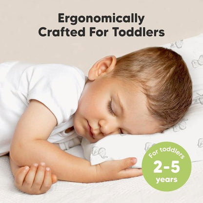 Elly Toddler Pillow - Soft & Breathable Organic Cotton Travel Pillow with Case | 13x18 Inches for Ages 2-5