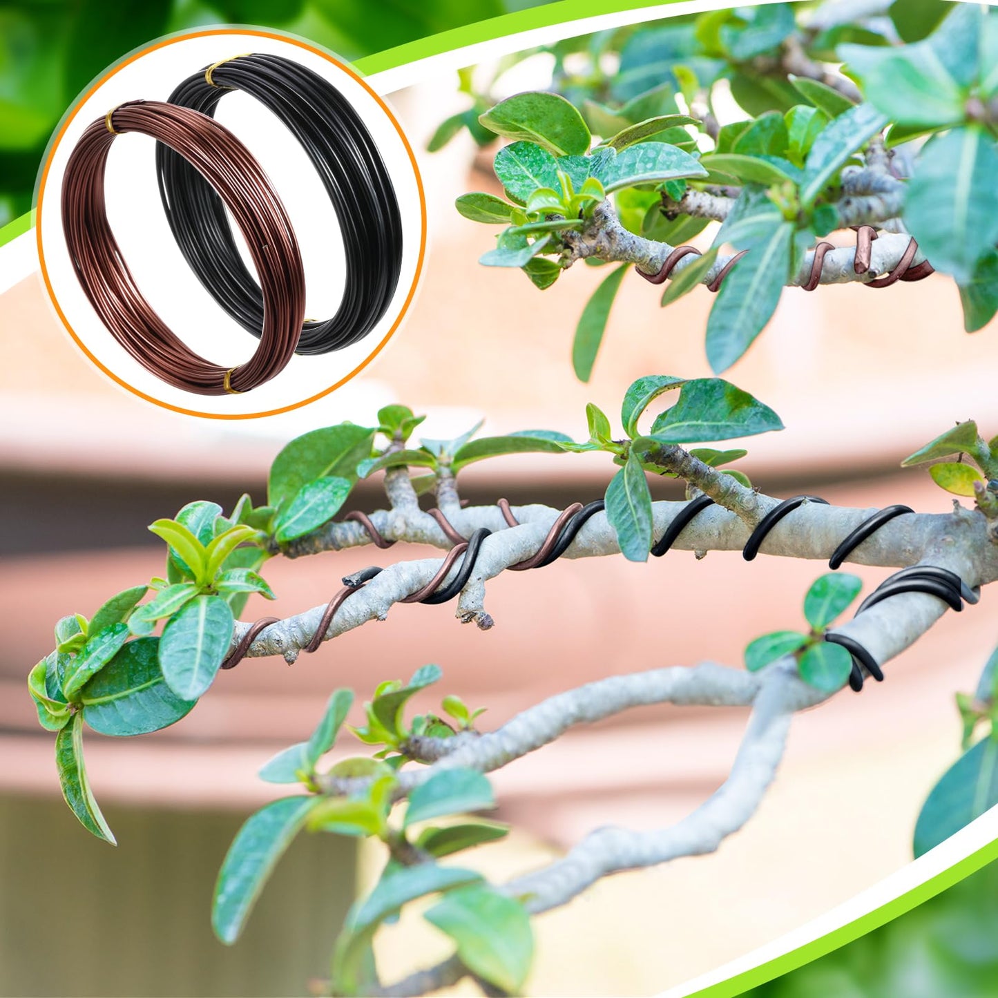 Mudder 5 Roll Aluminum Bonsai Training Wire Tree 1/1.5/2.0mm 160 Feet Total with Bonsai Wire Cutter Anodized Training for Holding Branches Small Trunks(Classic)