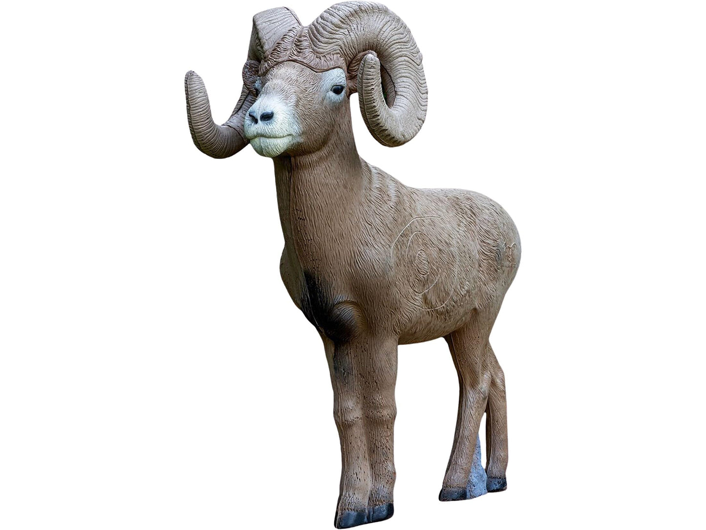 Rinehart 1/2 Scale Bighorn Ram 3D Archery Target | Scaled Bighorn Sheep with Replaceable Vital Insert | Broadhead & Field Point Compatible | Self-Healing Foam | Made in USA