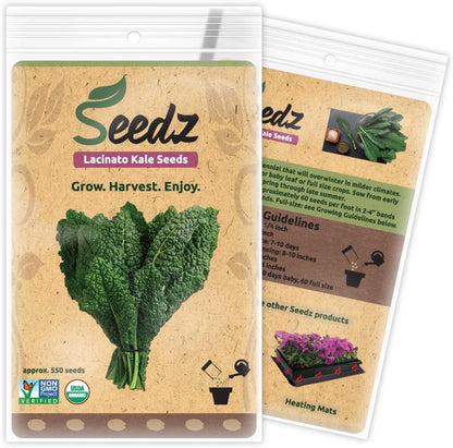 550, Organic Kale Seeds, APPR. Lacinato Kale, Heirloom Vegetable Seeds, Certified Organic, Non GMO, Non Hybrid, USA