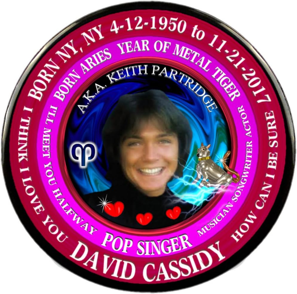 David Cassidy 70's Singer Cup + Magnet + Pin, Astrology Aries Zodiac Metal Tiger