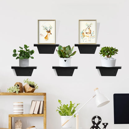 PHOENANCEE Small Floating Shelves,Speaker Shelf,Trapezoid Wall Shelf for Table Lamp Plants Display,Decorative Wood Ledges Chic for Living Room,Bedroom,Kitchen,Office,Pine,8x6 Inch,2 Pack(Black)