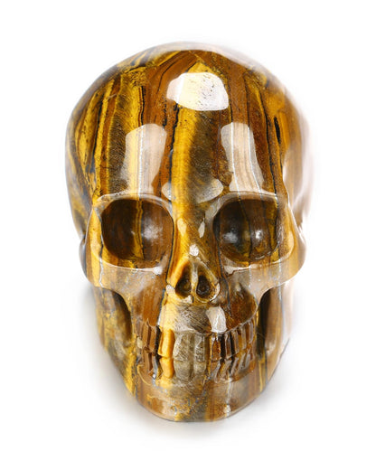 Skullis 2.0” Tiger Iron Eye Crystal Skull, Hand Carved Gemstone Fine Art Sculpture, Reiki Healing Stone Statue.