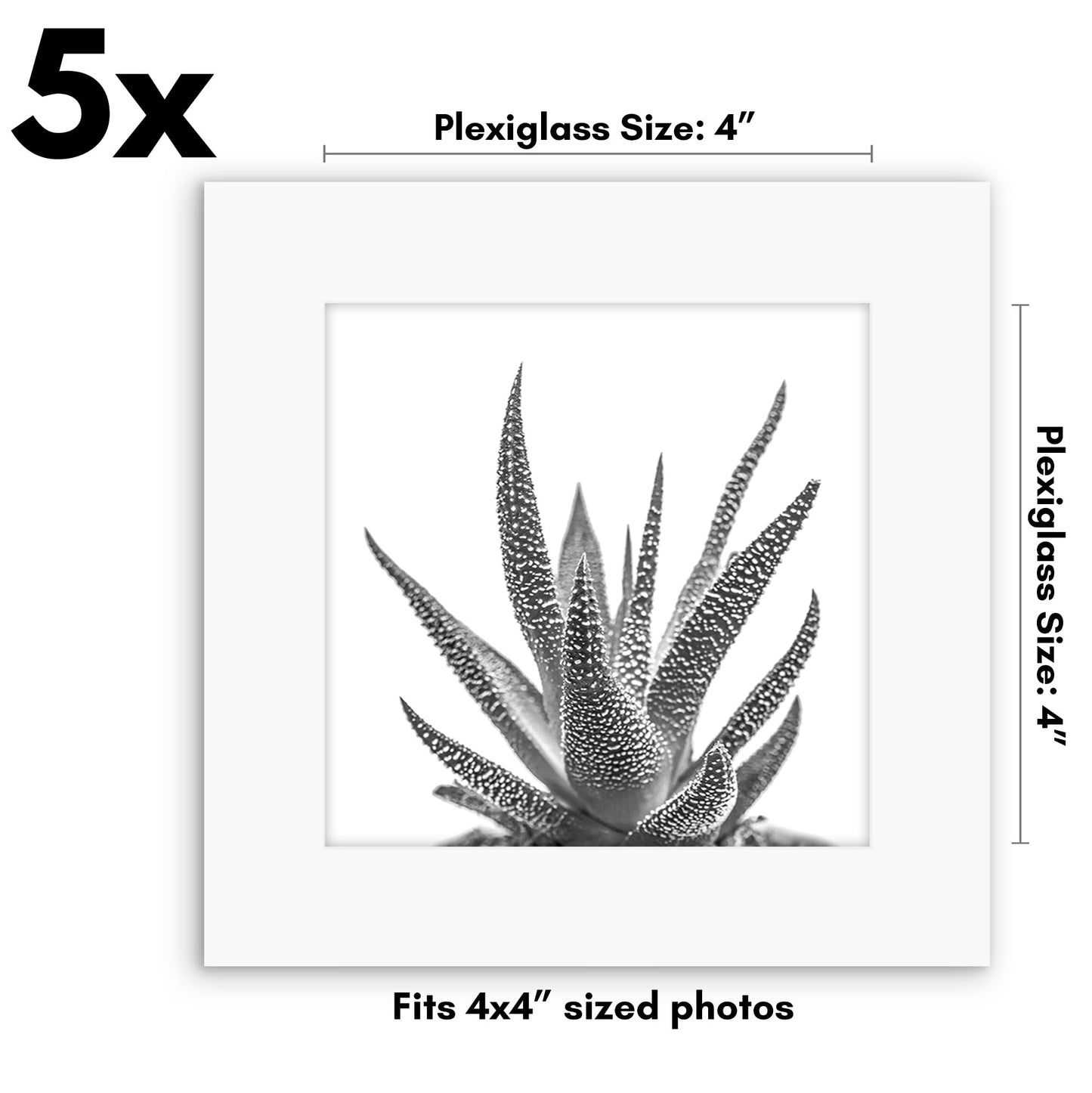 Americanflat 4x4 Picture Frame with Polished Plexiglass - Set of 5 - Galleria Collection - Square Frames for Tabletop and Wall Display - White