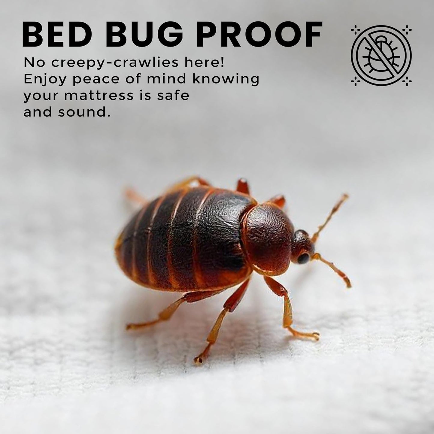 Utopia Bedding Waterproof Mattress Protector - Queen Size Bed Bug & Dust Mite Proof Encasement - 12 Inches Deep