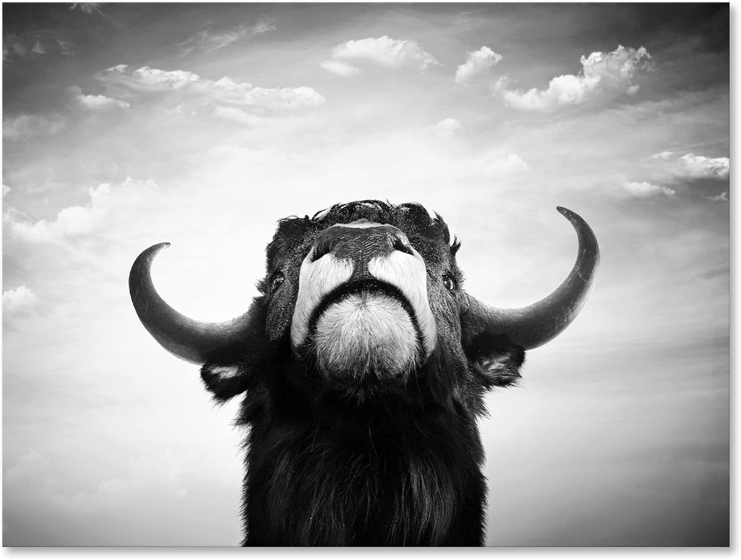 Monochrome Portrait of a Spanish Bull Farmhouse Canvas Wall Art, 12x8, Black