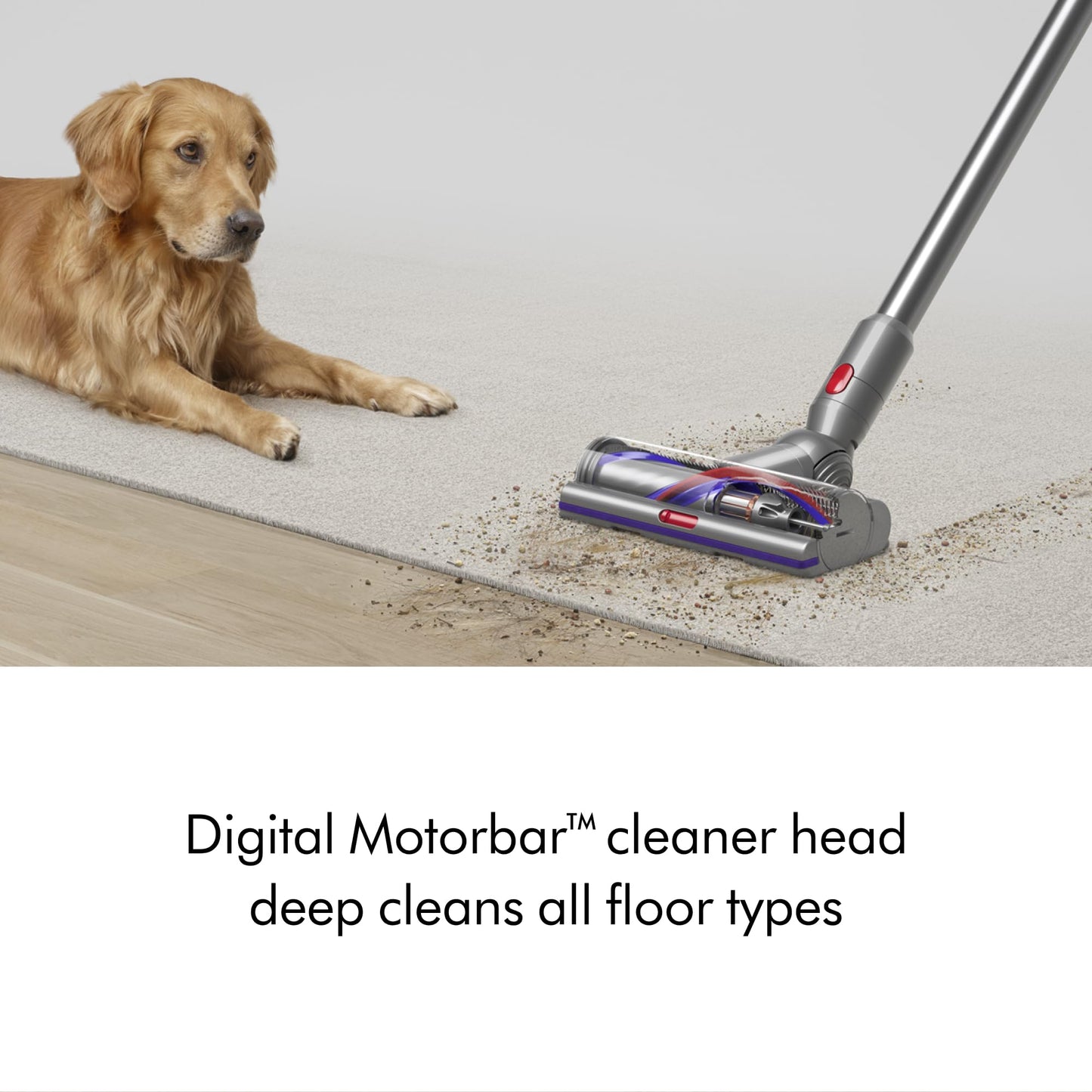 Dyson V15 Detect Extra (Renewed Premium)