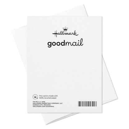 Hallmark Good Mail Fun Birthday Cards (4 Cards with Envelopes) for Friends, Coworkers, Siblings