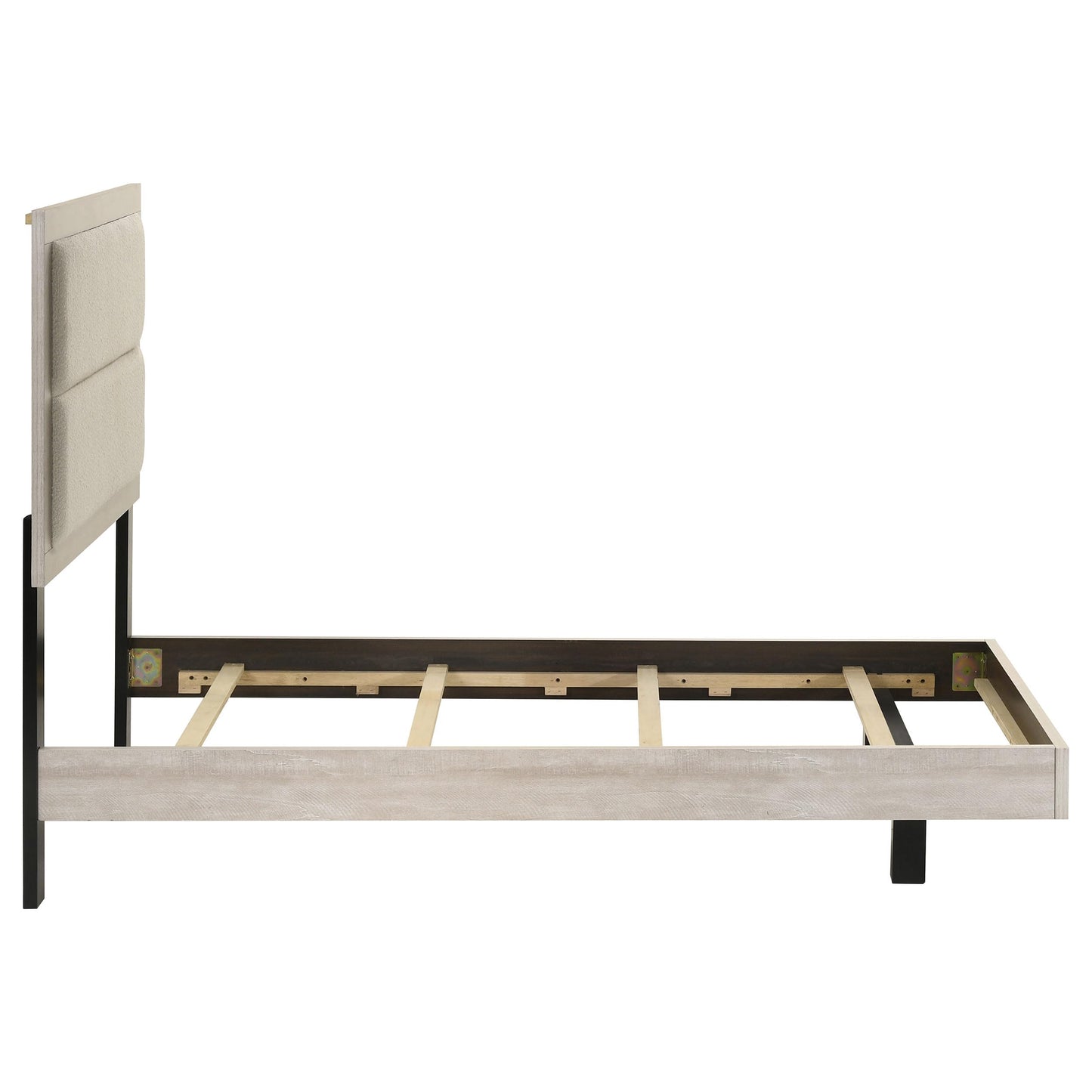 Coaster Home Furnishings - Trenton - Wood - Twin Panel Bed with Floating Design, Upholstered Headboard and Black Legs - Bedroom - Rustic Cream - 225061T