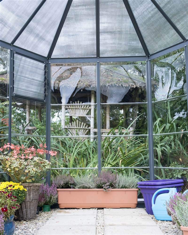 Palram - Canopia Oasis 7 Ft. x 8 Ft. Hexagon Greenhouse Kit Hobby DIY Walk In Green House Heavy Duty Polycarbonate with Aluminium Frame, with Lockable Door and Vent for Garden, Gutter, Backyard